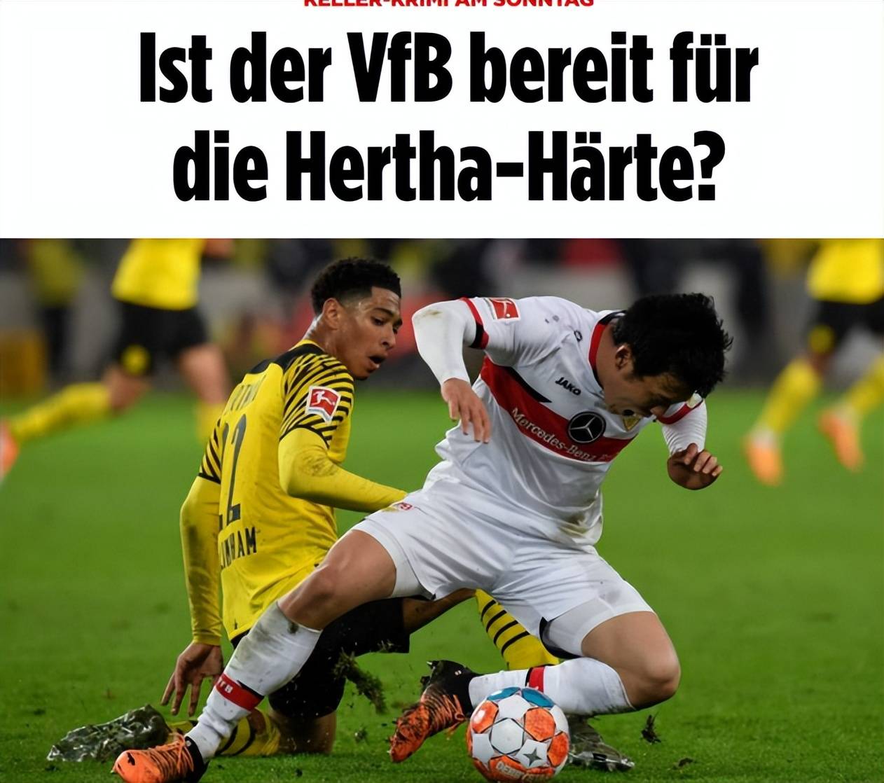 山东泰山今天最新新闻 山东泰山今天最新新闻